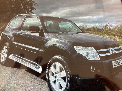 2010 Mitsubishi Shogun